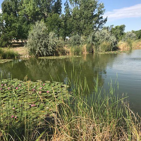 J. Kenneth Smith Bird Sanctuary & Nature Center